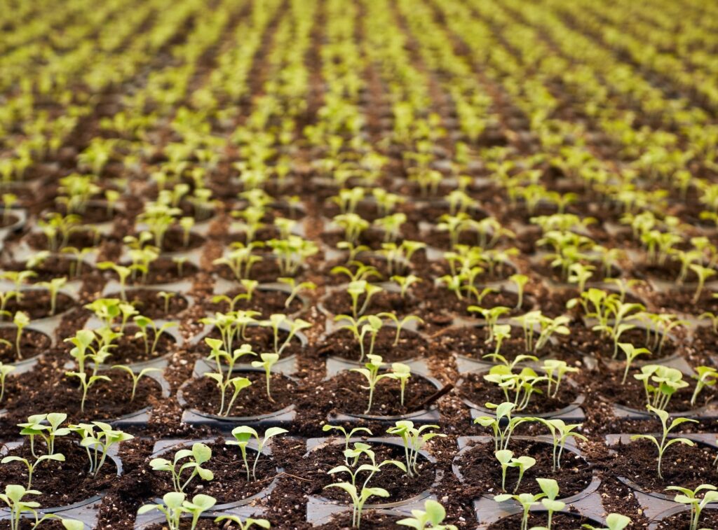 Understanding Soil Structure and Texture